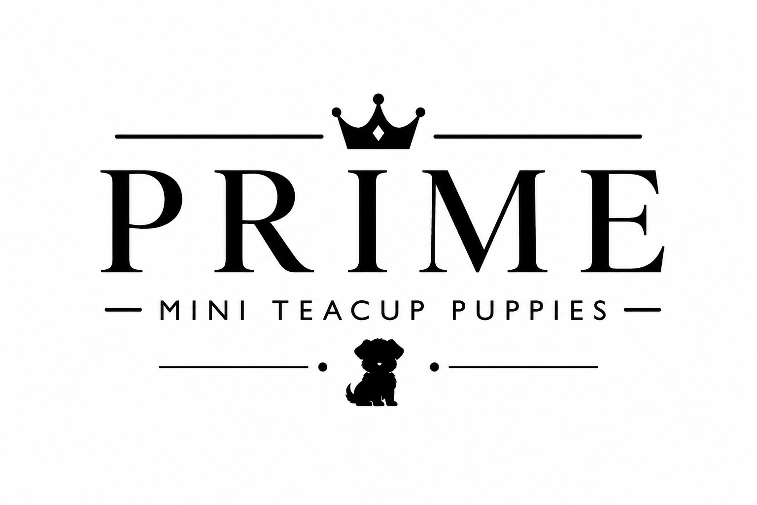 Prime Mini Teacup Puppies